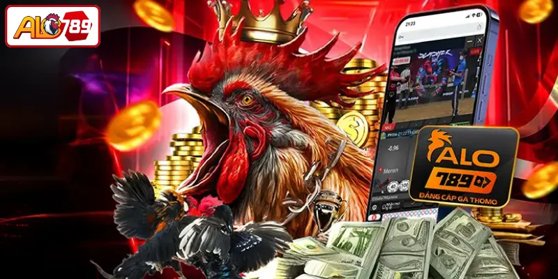 Cách cài đặt ứng dụng ALO789