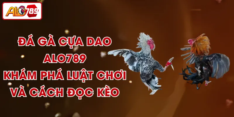 Đá Gà Cựa Dao ALO789 - Khám Phá Luật Chơi Và Cách Đọc Kèo