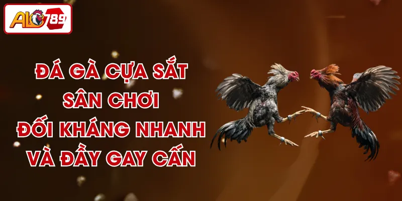 Đá Gà Cựa Sắt - Sân Chơi Đối Kháng Nhanh Và Đầy Gay Cấn
