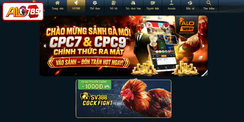 Đá gà - Nội dung trọng tâm trong hệ sinh thái ALO789