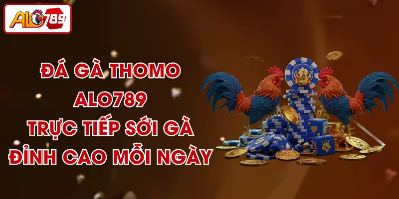 Đá Gà Thomo ALO789 - Trực Tiếp Sới Gà Đỉnh Cao Mỗi Ngày