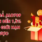 Hoàn Trả ALO789 - Tỷ Lệ Lên Đến 1,5% Không Giới Hạn Cược